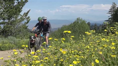 Bogus Basin Helps Support A Growing Mountain Bike Community