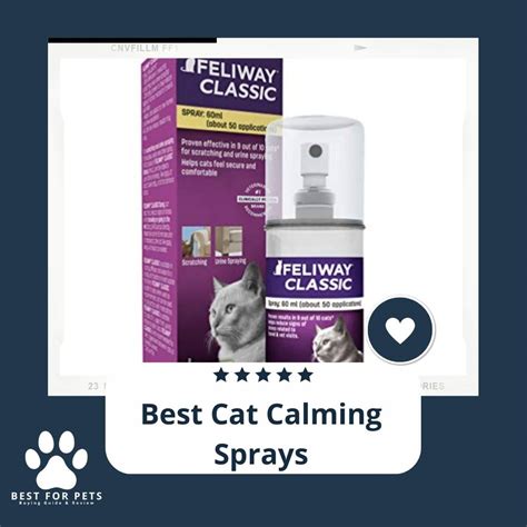 How To Find The Best Cat Calming Sprays In 2022