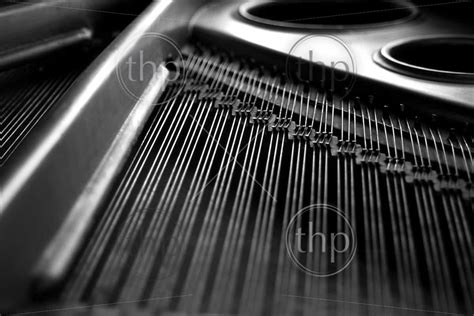 Artistic detail of grand piano strings - THPStock