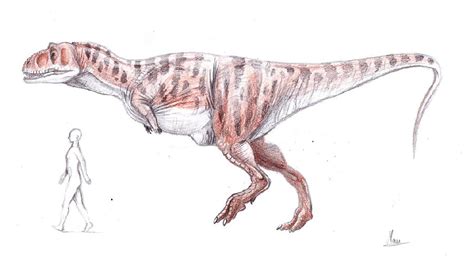 Tarascosaurus Pictures & Facts - The Dinosaur Database