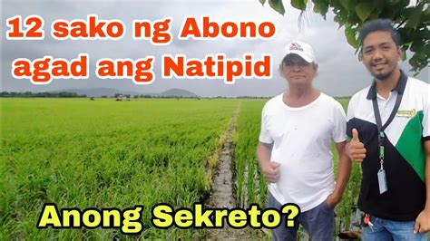 Tips Para Makatipid Sa Paggamit Ng Commercial Fertilizer Adaboost