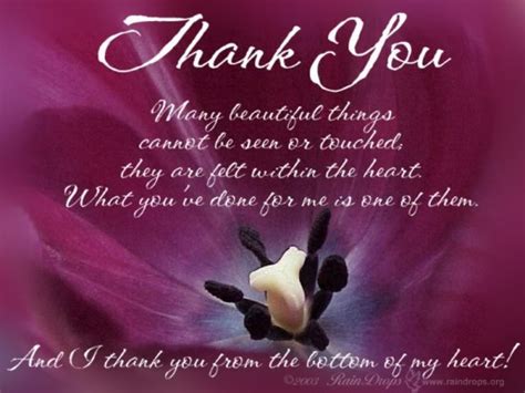 appreciation quotes  wondrous