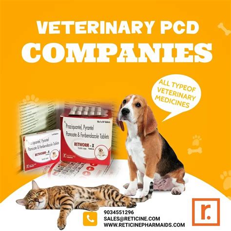 Veterinary Pcd Companies At Rs Month In Kurukshetra Id