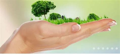 Environment Health And Safety Services At Best Price In Mohali Id