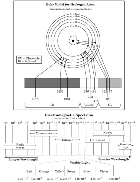 Bohr's Model of the Hydrogen Atom Diagram | Quizlet