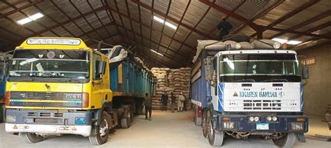 DABOL NIGERIA LIMITED - FACILITIES : GRAIN STORAGE