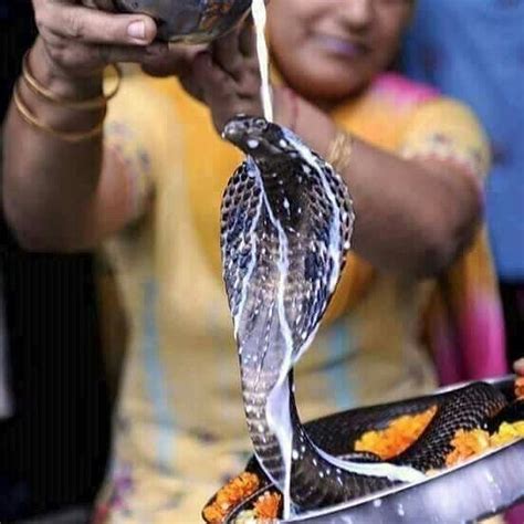 A Woman Is Pouring Water On A Snake