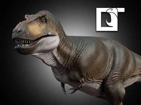 3d Model Tyrannosaurus Rex Vr Ar Low Poly Cgtrader