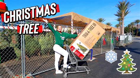 Getting Our Christmas Tree Vlogmas Day 1 Youtube