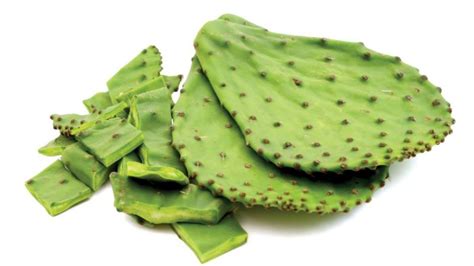 Beneficios Del Nopal Y Todo Sobre Este Delicioso Alimento Gastrolab