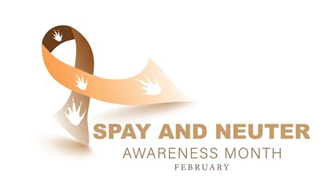 Spay And Neuter Awareness Month Background Banner Card Poster