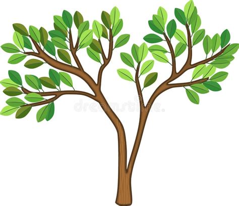 Cartoon Tree With Green Leaves Stock Vector Illustration Of White