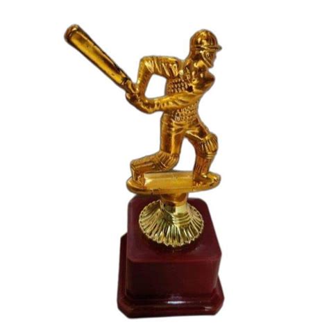 Brown Golden Plastic SSE Cricket Batsman Trophy At Rs 250 Piece In Jaipur