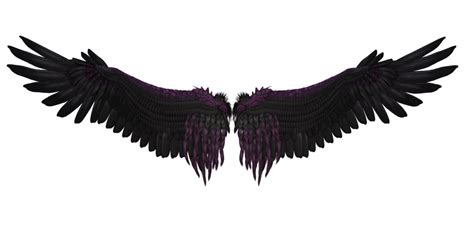 Black Wings Wings Png Black Wings Angel Wings Png