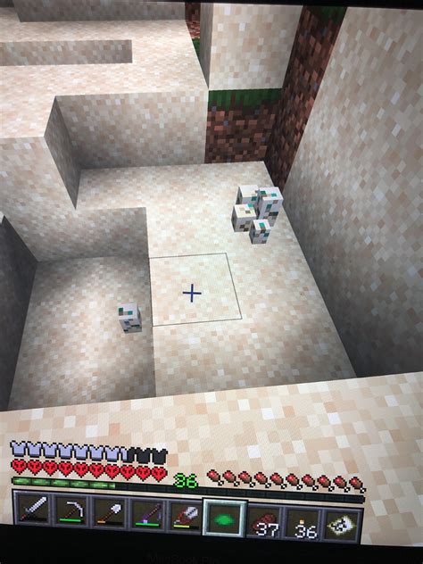 my first turtle eggs !! I just got my first scute too : r/Minecraft