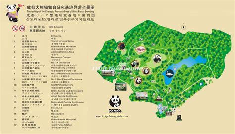 Chengdu Research Base of Giant Panda Breeding Map - Chengdu Research ...