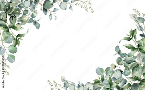 Eucalyptus Leaves Border Watercolor Illustration Isolated On White