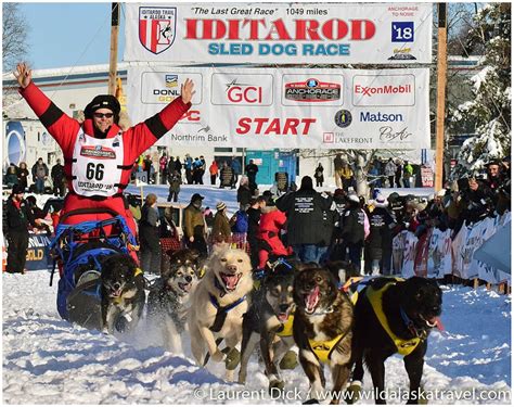 #1 Iditarod Tour | Iditarod 2025 Start Tour