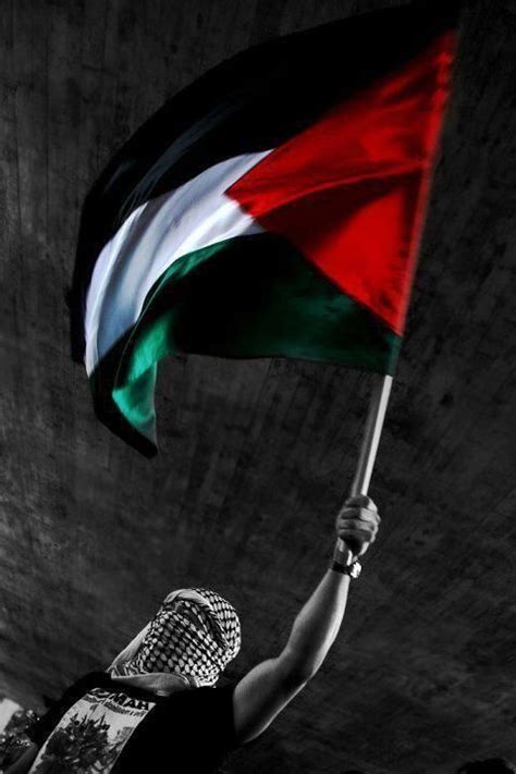 Share More Than 78 Palestine Wallpaper Best In Coedo Vn