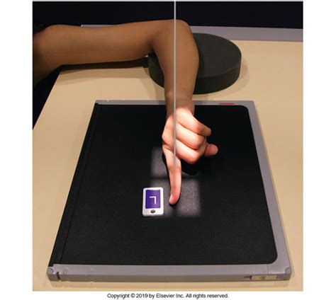 Digits Lateral Projection Flashcards Quizlet