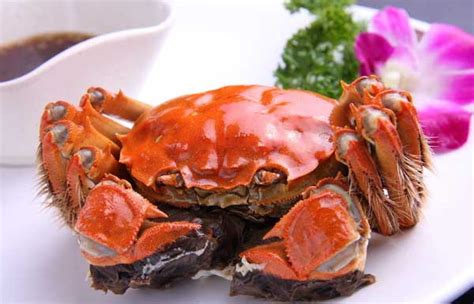 Kumain Ng Chinese Mitten Crab Sa Yangcheng Lake Radyo Internasyonal