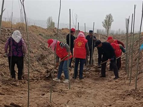 【乡村振兴巾帼在行动】巷道镇：义务植树正当时 巾帼植绿展风采澎湃号·政务澎湃新闻 The Paper