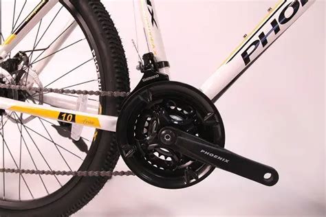 Phoenix bike: pros and cons