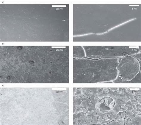 Sem Images Of Post Uv Degradation Tests Of A Epoxy B E G And