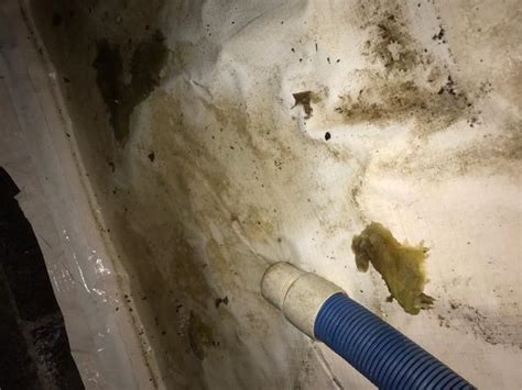 Frozen Pipe Burst In Springfield Northeast Power Dry