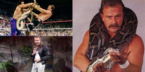 Things You Should Know About Jake The Snake Roberts Wrestling