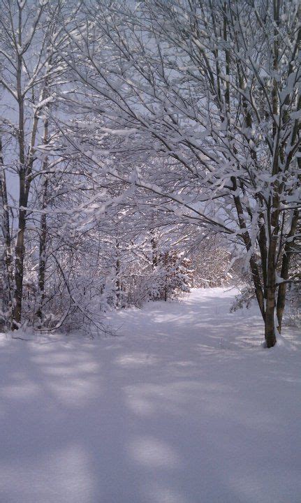 Indiana Winter: Fresh and Inviting Snowy Scenery