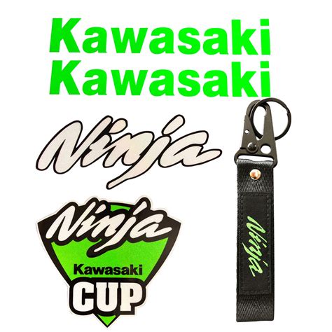 The 10 Best Kawasaki Ninja Decals - Life Sunny