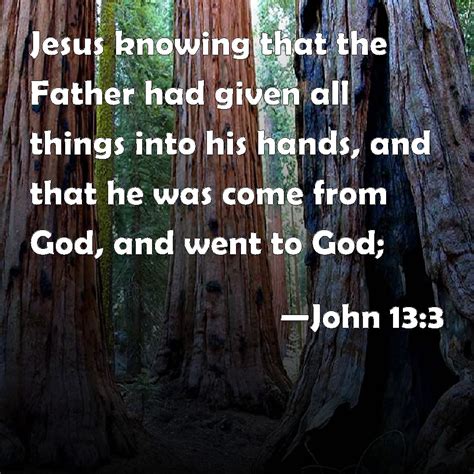 John 13:3 Jesus knowing that the Father had given all things into his ...