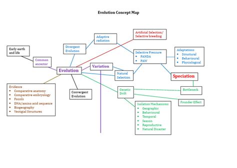 Evolution Concept Map | PDF