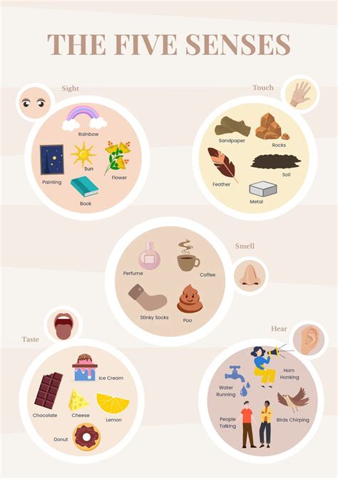 Five Senses Sorting Chart in Illustrator, PDF - Download | Template.net