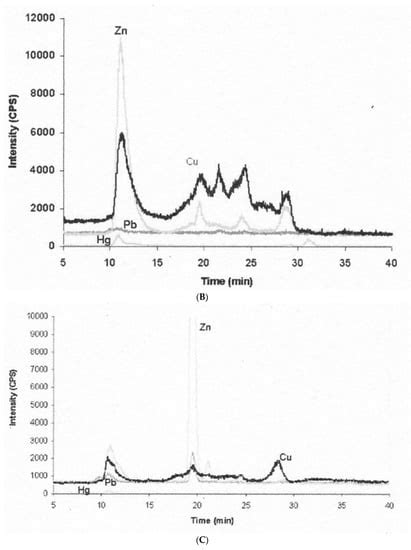 Ijms Free Full Text Copper Homeostasis In Mammals With Emphasis On