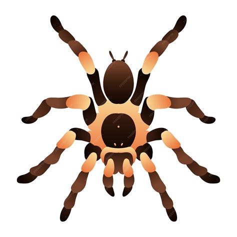 how to tarantula shaking easily 5