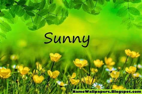 Sunny Name Wallpapers Sunny ~ Name Wallpaper Urdu Name Meaning Name ...