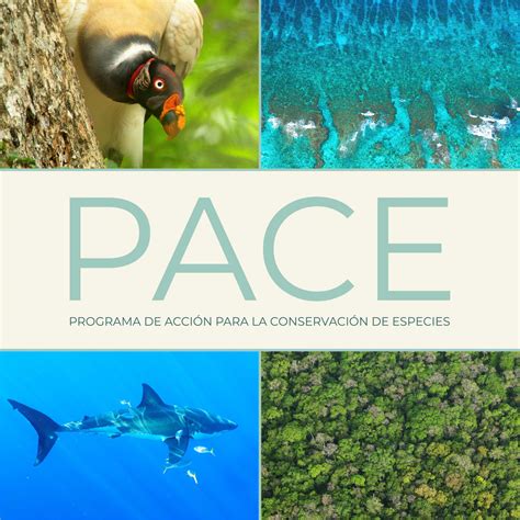 Tríptico sobre los Programas de Acción para la Conservación de Especies