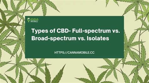 Ppt Types Of Cbd Full Spectrum Vs Broad Spectrum Vs Isolates Powerpoint Presentation Id