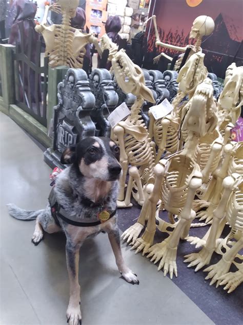 home depot gastonia nc 5