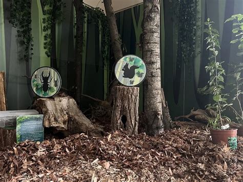 Dentro Le Foreste La Mostra Immersiva A Parco Nord Milano