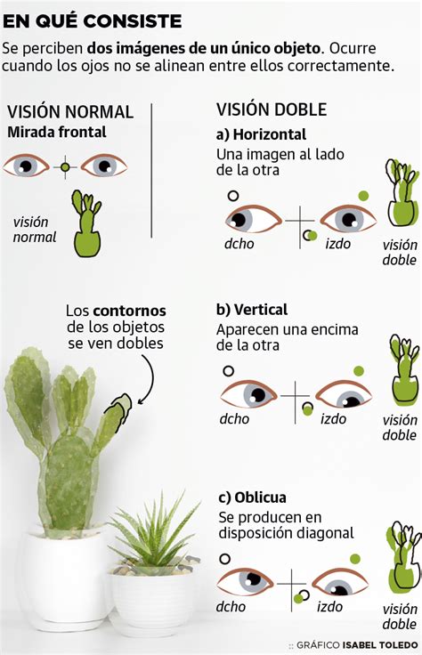 Desarmamiento Nivel Predicci N Vista Doble En Un Ojo Intelectual Peine Saco