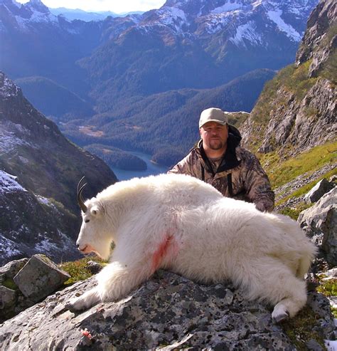 Mountain Goat Hunts in a great Alaska Mountain Goat Hunt Trophy Area