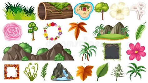 Placez Des Plantes Ornementales Illustration Stock Illustration Du