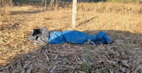 Homem é encontrado morto e enrolado em lona em fazenda de MT VGN