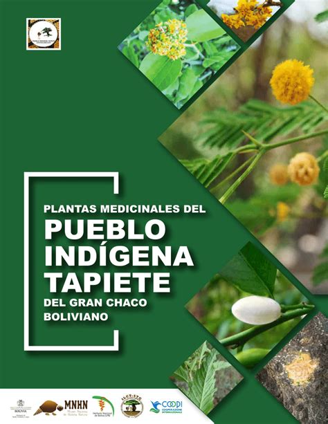 PDF Plantas Medicinales del pueblo indígena Tapiete del Gran Chaco