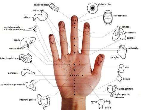 LP ACM Curso 1 ACM Sem Agulhas Acupuntura Terapia da mão