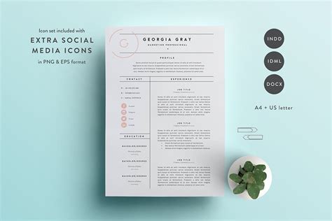 30+ Best InDesign Resume Templates – DesignerCandies