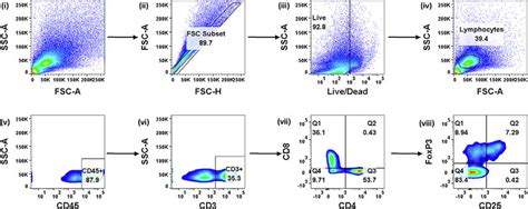 Gating Strategy For Determination Of T Cell Subsets In Spleen From An